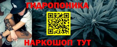 дурь Кингисепп