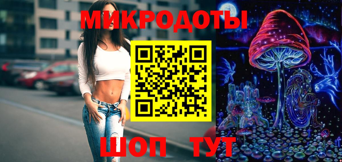 Псилоцибиновые грибы Psilocybe  Вход с VPN  Королёв 